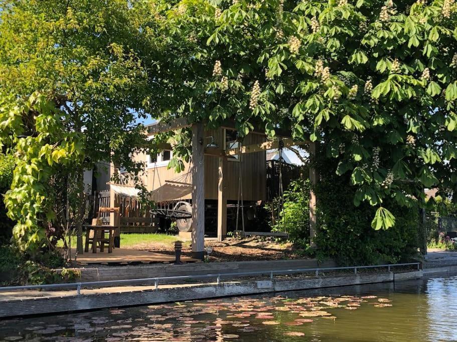 Gezellige Pipo Met Grote Schommel Aan Het Water Medemblik Exterior foto